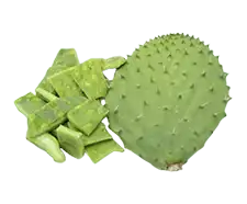 Nopal cladode Extract