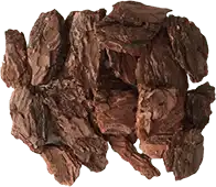 extracto de corteza de pino